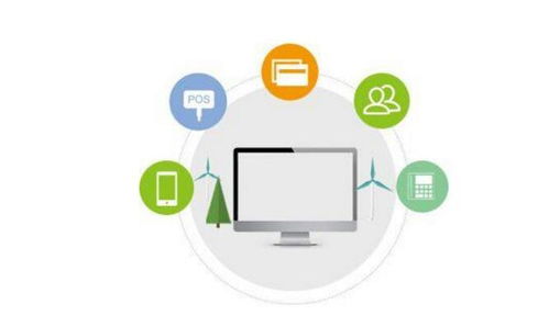 軟件系統(tǒng)開發(fā)與信息技術(shù)咨詢服務(wù)的關(guān)鍵注意事項(xiàng)